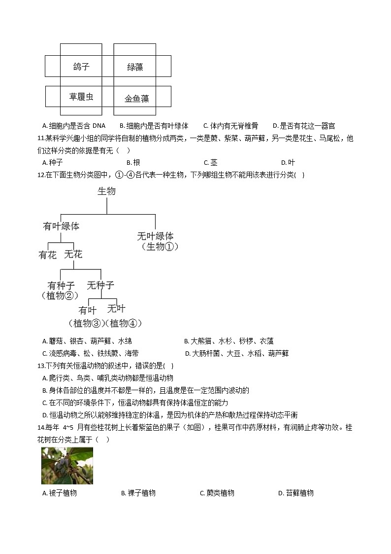 初中科学华师大生物的主要类群同步练习02
