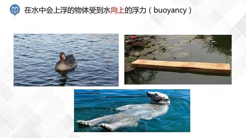 1.3 水的浮力第1课时课件-八年级科学上册  同步教学课件+练习(浙教版)05