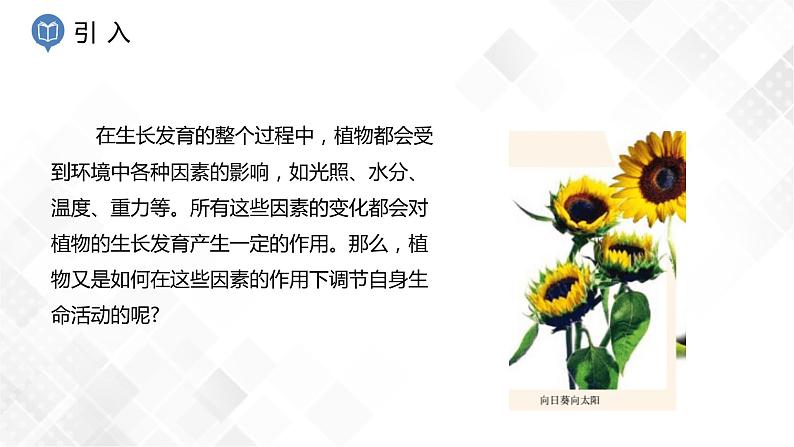 3.1 植物生命活动的调节-八年级科学上册  同步教学课件+练习(浙教版)02