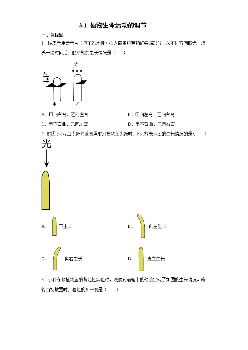3.1 植物生命活动的调节-八年级科学上册  同步教学课件+练习(浙教版)01