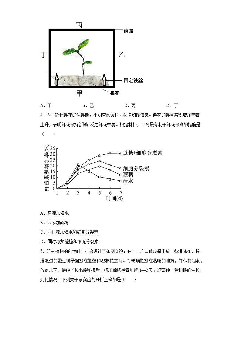 3.1 植物生命活动的调节-八年级科学上册  同步教学课件+练习(浙教版)02