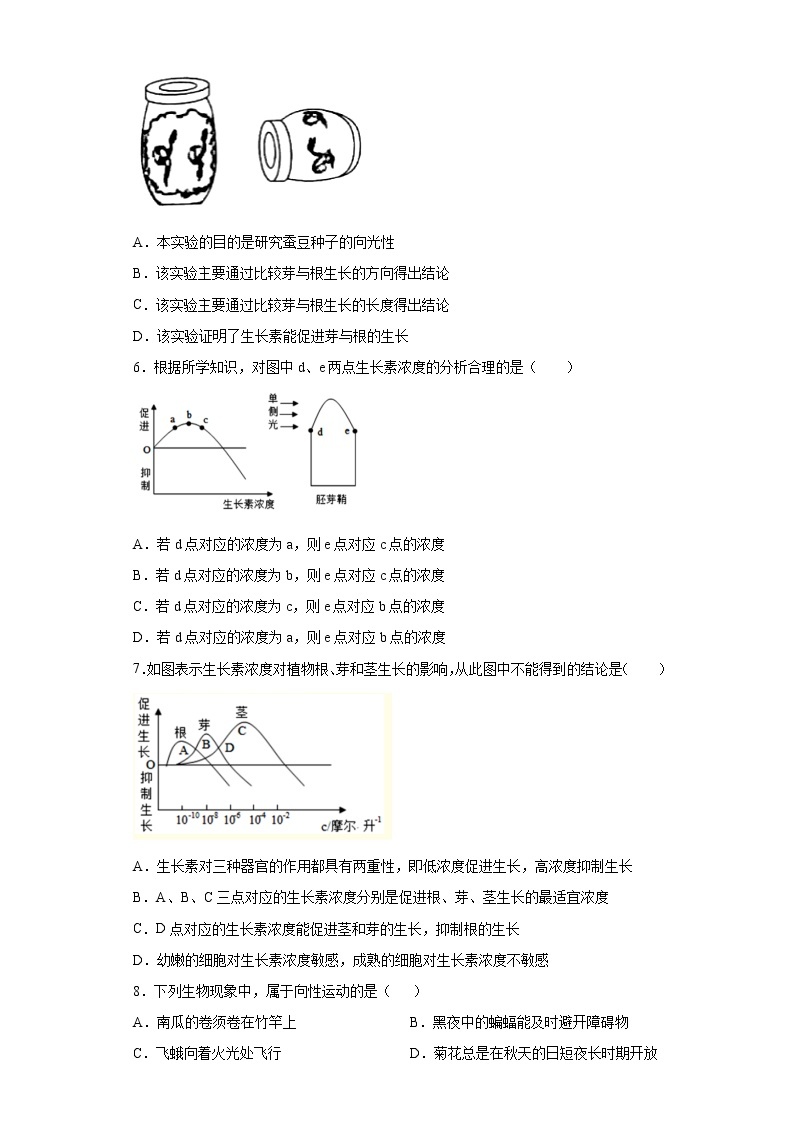 3.1 植物生命活动的调节-八年级科学上册  同步教学课件+练习(浙教版)03