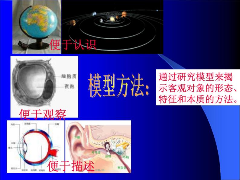 【浙教版】科学八下：2.1《模型、符号的建立与作用》ppt课件（1）06