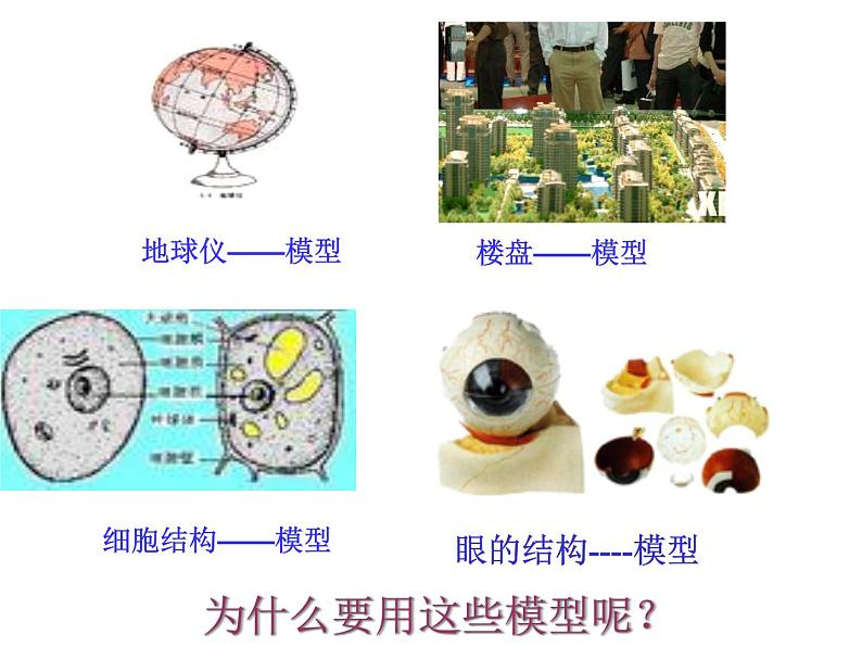 【浙教版】科学八下：2.1《模型、符号的建立与作用》ppt课件（3）第2页