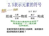 【浙教版】科学八下：2.5《表示元素的符号》ppt课件（5）