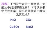 【浙教版】科学八下：2.5《表示元素的符号》ppt课件（5）