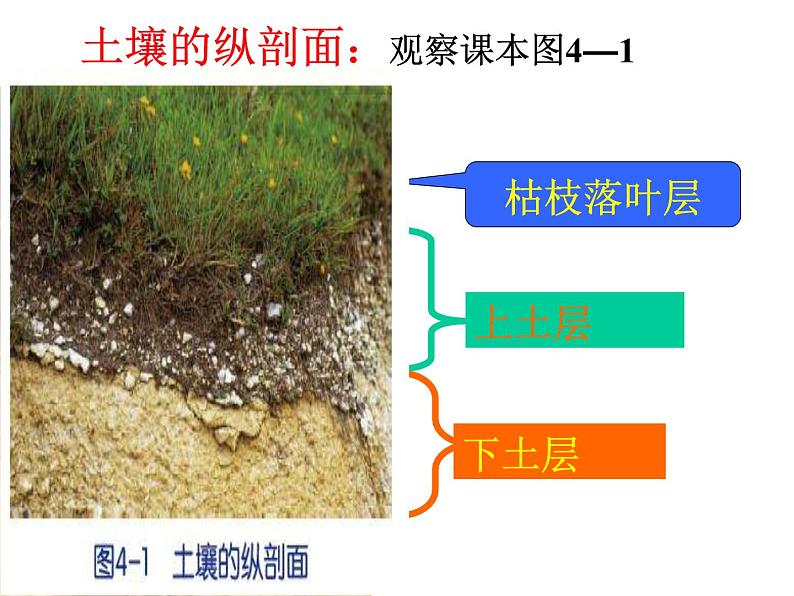 【浙教版】科学八下：4.1《土壤的成分》ppt教学课件02