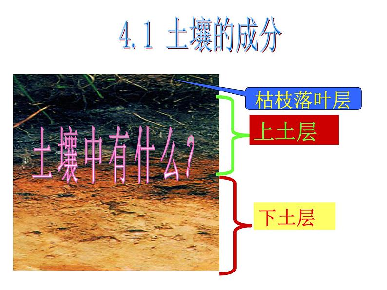 【浙教版】科学八下：4.1《土壤的成分》ppt课件（1）第2页