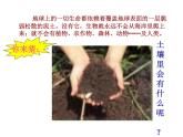 【浙教版】科学八下：4.1《土壤的成分》ppt课件（3）