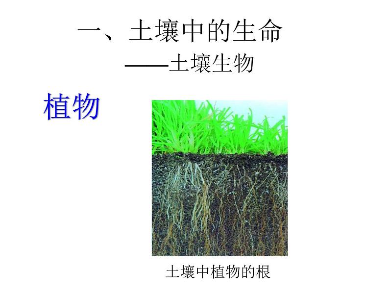 【浙教版】科学八下：4.1《土壤的成分》ppt课件（3）03