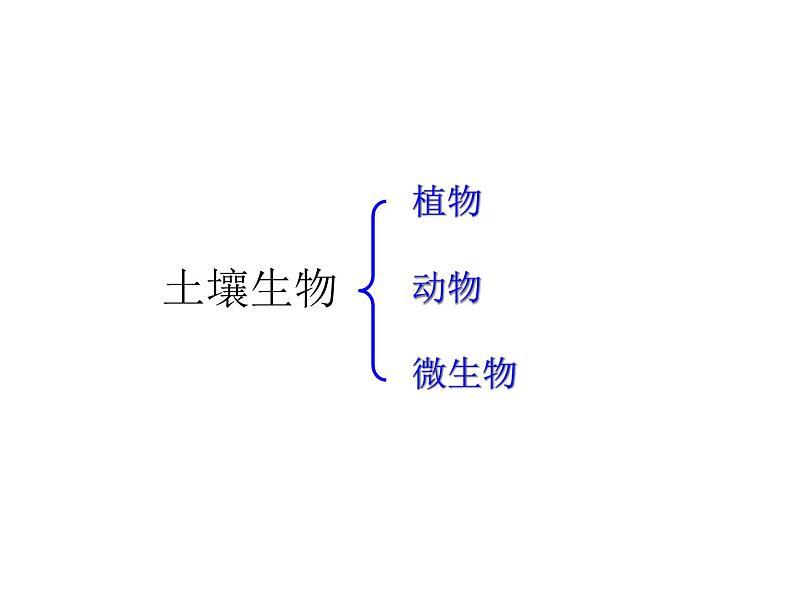 【浙教版】科学八下：4.1《土壤的成分》ppt课件（3）07