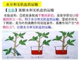 【浙教版】科学八下：4.4《植物的茎与物质运输》ppt课件（2）