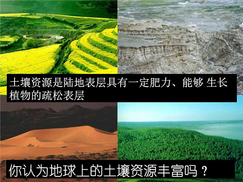 【浙教版】科学八下：4.6《保护土壤》ppt课件（1）02