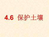 【浙教版】科学八下：4.6《保护土壤》ppt课件（1）