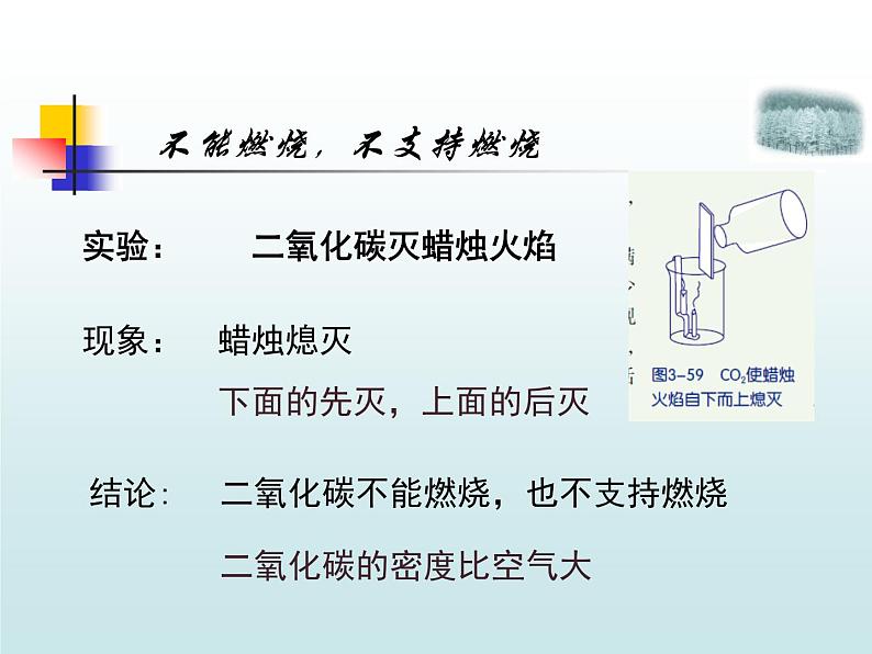 【浙教版】科学八下：3.4《二氧化碳》ppt课件（1）06