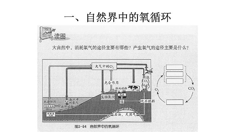 【浙教版】科学八下：3.7《自然界中的氧循环和碳循环》ppt课件（4）03