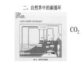 【浙教版】科学八下：3.7《自然界中的氧循环和碳循环》ppt课件（4）