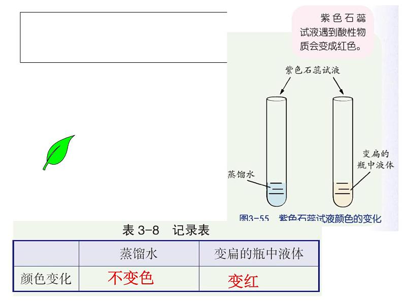 【浙教版】科学八下：3.4《二氧化碳》ppt课件（4）07