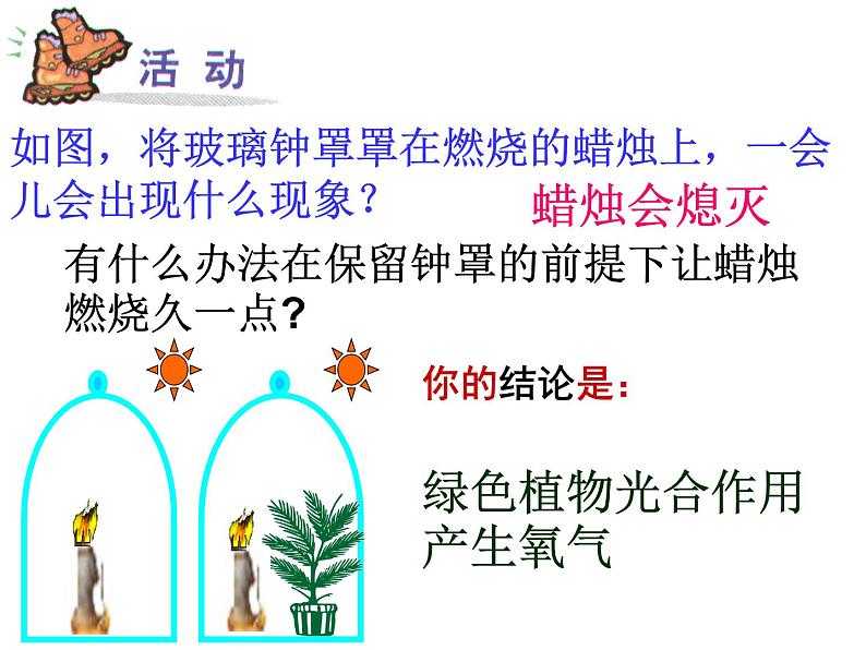 【浙教版】科学八下：3.7《自然界中的氧循环和碳循环》ppt课件（1）第4页