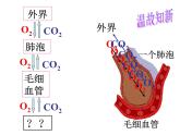 【浙教版】科学八下：3.5《生物的呼吸和呼吸作用》ppt课件（1）