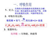 【浙教版】科学八下：3.5《生物的呼吸和呼吸作用》ppt课件（1）