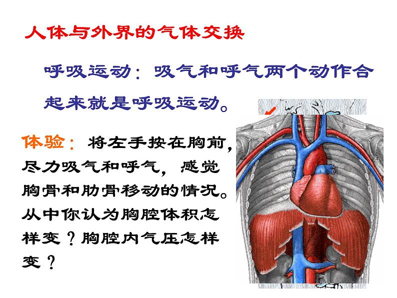 【浙教版】科学八下：3.5《生物的呼吸和呼吸作用》ppt课件（3）06