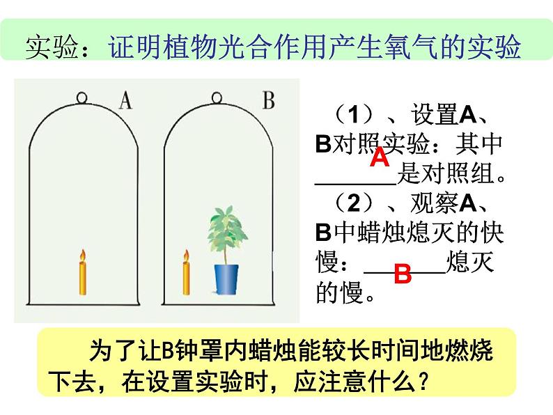 【浙教版】科学八下：3.7《自然界中的氧循环和碳循环》ppt教学课件第4页