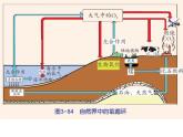 【浙教版】科学八下：3.7《自然界中的氧循环和碳循环》ppt教学课件