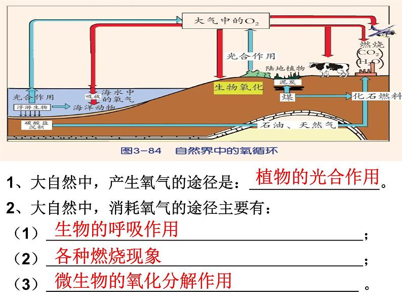 【浙教版】科学八下：3.7《自然界中的氧循环和碳循环》ppt教学课件第6页