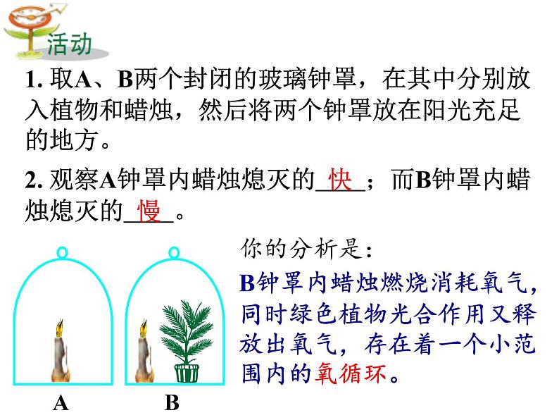 【浙教版】科学八下：3.7《自然界中的氧循环和碳循环》ppt课件（3）第4页