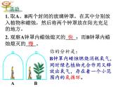 【浙教版】科学八下：3.7《自然界中的氧循环和碳循环》ppt课件（3）