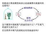 【浙教版】科学八下：3.7《自然界中的氧循环和碳循环》ppt课件（3）