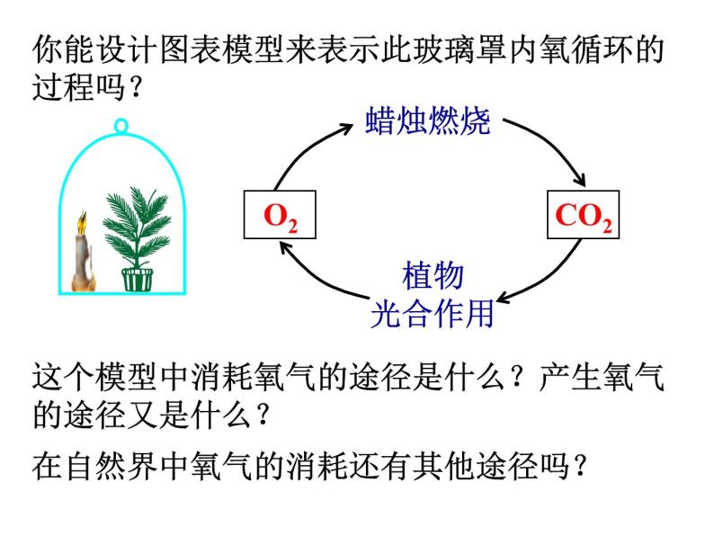 【浙教版】科学八下：3.7《自然界中的氧循环和碳循环》ppt课件（3）05