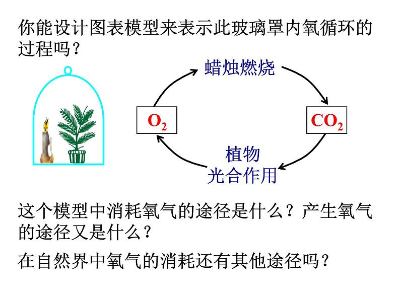 【浙教版】科学八下：3.7《自然界中的氧循环和碳循环》ppt课件（3）第5页