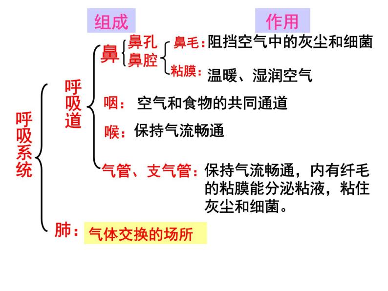 【浙教版】科学八下：3.5《生物的呼吸和呼吸作用》ppt课件（2）04