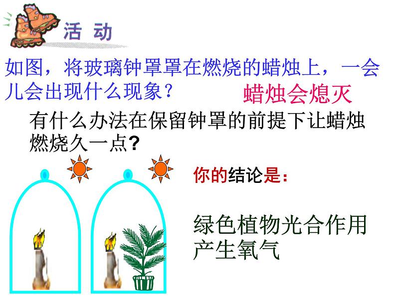 【浙教版】科学八下：3.7《自然界中的氧循环和碳循环》ppt课件（2）第3页