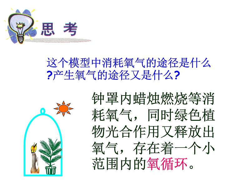 【浙教版】科学八下：3.7《自然界中的氧循环和碳循环》ppt课件（2）第4页