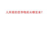【浙教版】科学八下：3.6《光和作用》ppt课件（4）
