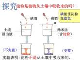 【浙教版】科学八下：3.6《光和作用》ppt课件（4）