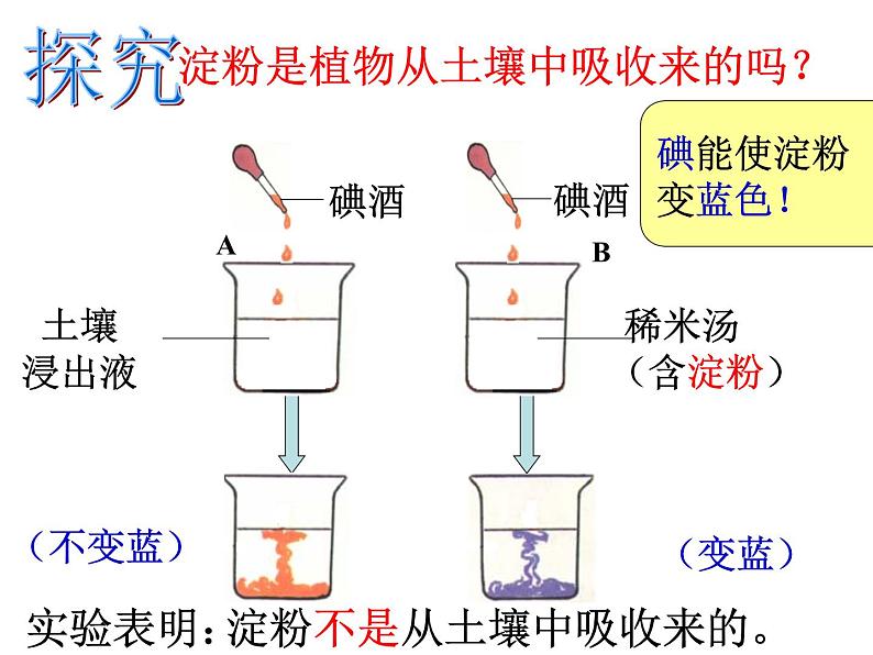 【浙教版】科学八下：3.6《光和作用》ppt课件（4）第3页