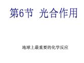 【浙教版】科学八下：3.6《光和作用》ppt课件（4）