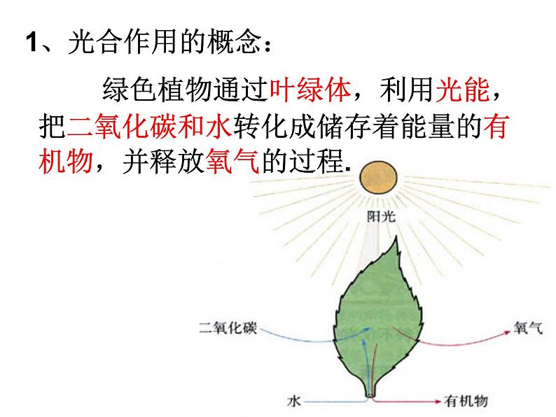 【浙教版】科学八下：3.6《光和作用》ppt课件（4）第6页