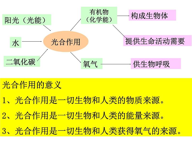 【浙教版】科学八下：3.6《光和作用》ppt课件（4）第8页