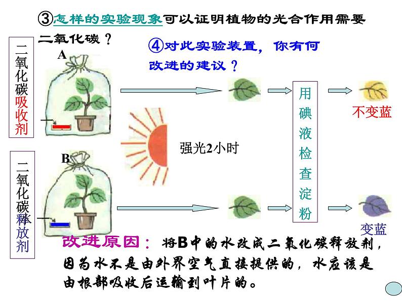 【浙教版】科学八下：3.6《光和作用》ppt课件第5页