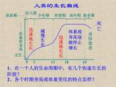 【浙教版】科学七下：1.2《走向成熟》ppt课件（3）