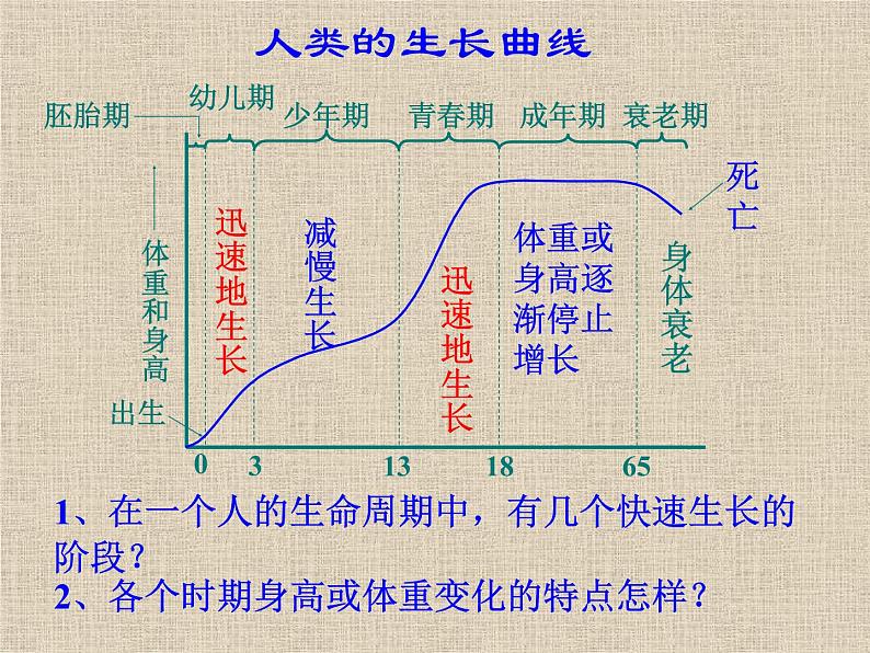 【浙教版】科学七下：1.2《走向成熟》ppt课件（3）04