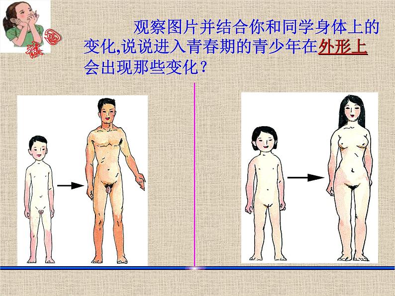 【浙教版】科学七下：1.2《走向成熟》ppt课件（3）06