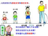 【浙教版】科学七下：1.2《走向成熟》ppt课件（4）