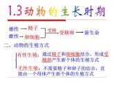 【浙教版】科学七下：1.3《动物的生长时期》ppt课件（1）