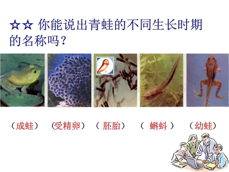 【浙教版】科学七下：1.3《动物的生长时期》ppt课件（3）第3页